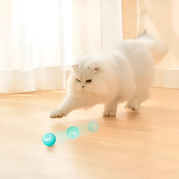 Interactive Pet Ball, Rolls Automatically product image