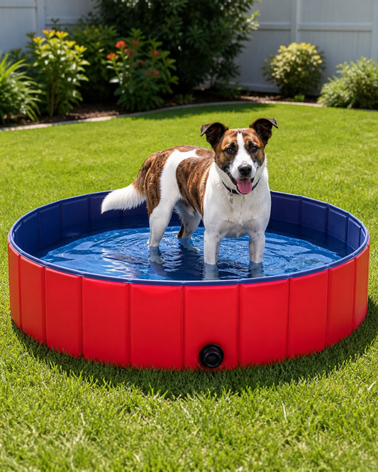 Foldable Dog Pool in use
