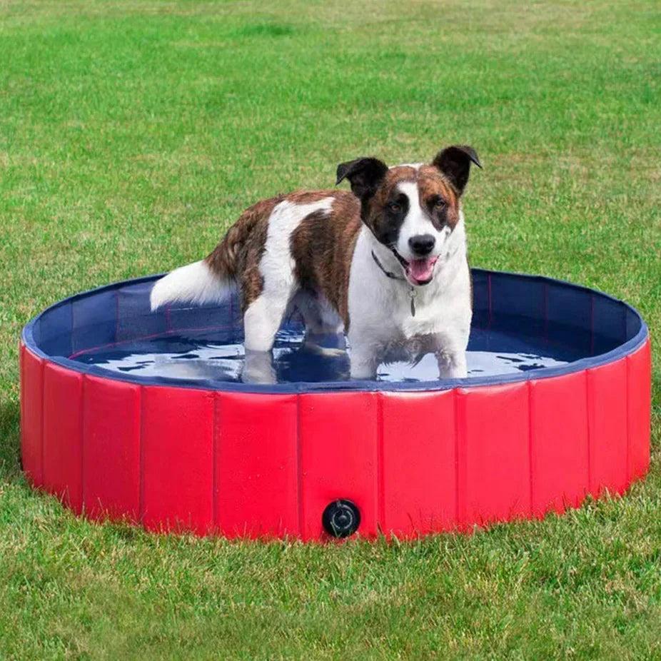 Foldable Dog Pool product image