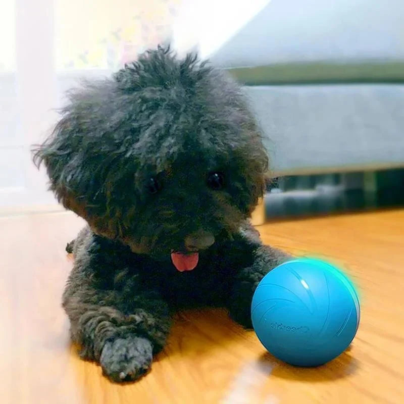 Magic Ball Pet Motion Toy product image