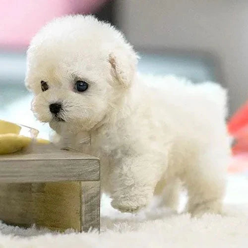 Realistic Interactive Plush Puppy Toy product image